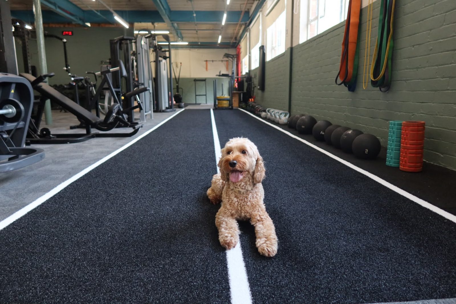 The turf sprint track at The PT Hut